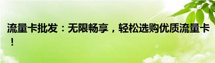 流量卡批发：无限畅享，轻松选购优质流量卡！