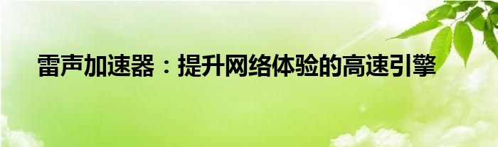 雷声加速器：提升网络体验的高速引擎