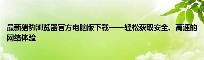 最新猎豹浏览器官方电脑版下载——轻松获取安全、高速的网络体验