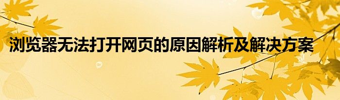 浏览器无法打开网页的原因解析及解决方案