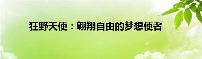 狂野天使：翱翔自由的梦想使者