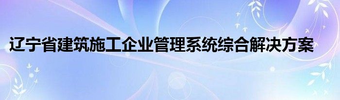 辽宁省建筑施工企业管理系统综合解决方案