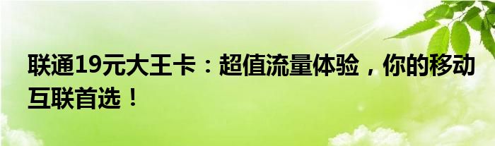 联通19元大王卡：超值流量体验，你的移动互联首选！