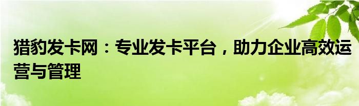 猎豹发卡网：专业发卡平台，助力企业高效运营与管理