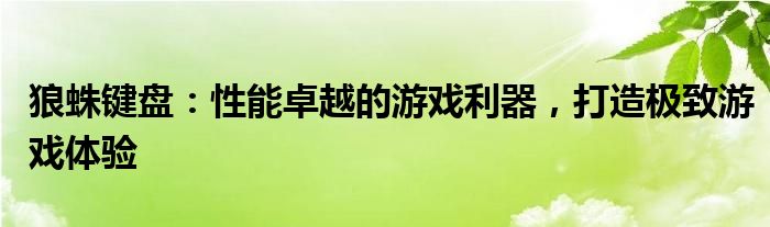 狼蛛键盘：性能卓越的游戏利器，打造极致游戏体验