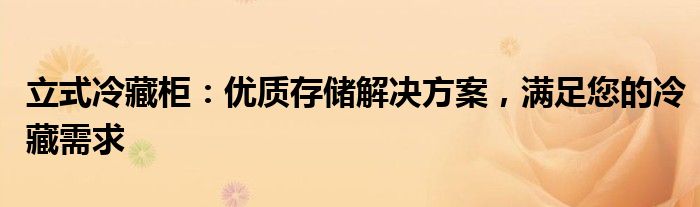 立式冷藏柜：优质存储解决方案，满足您的冷藏需求