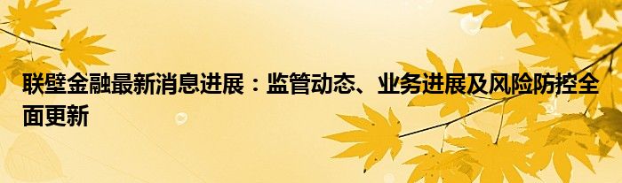 联壁金融最新消息进展：监管动态、业务进展及风险防控全面更新