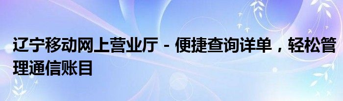 辽宁移动网上营业厅 - 便捷查询详单，轻松管理通信账目