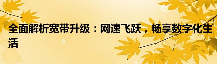 全面解析宽带升级：网速飞跃，畅享数字化生活