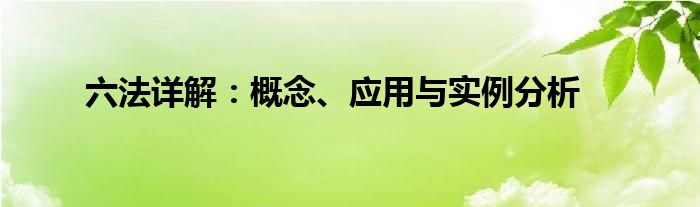 六法详解：概念、应用与实例分析