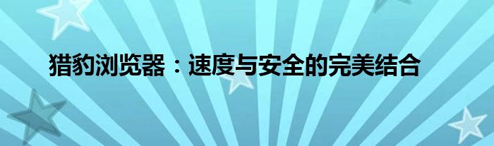 猎豹浏览器：速度与安全的完美结合