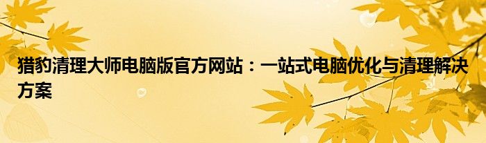 猎豹清理大师电脑版官方网站：一站式电脑优化与清理解决方案