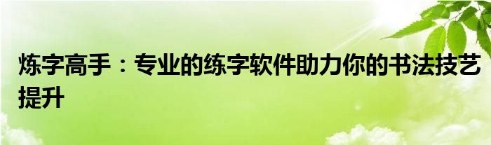 炼字高手：专业的练字软件助力你的书法技艺提升