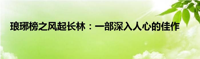 琅琊榜之风起长林：一部深入人心的佳作