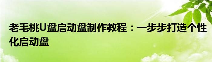 老毛桃U盘启动盘制作教程：一步步打造个性化启动盘