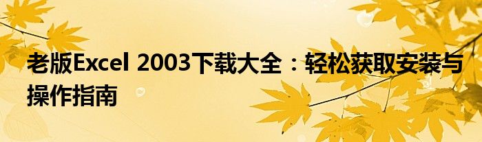 老版Excel 2003下载大全：轻松获取安装与操作指南