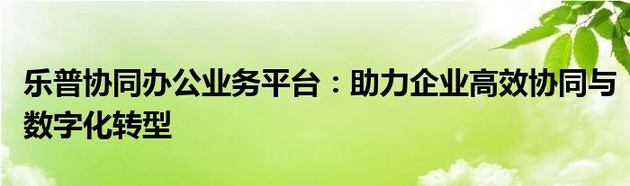 乐普协同办公业务平台：助力企业高效协同与数字化转型