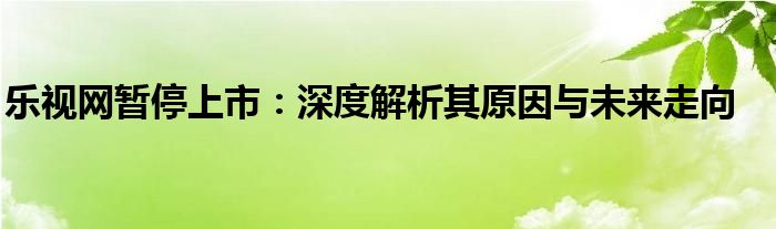 乐视网暂停上市：深度解析其原因与未来走向