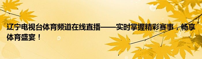 辽宁电视台体育频道在线直播——实时掌握精彩赛事，畅享体育盛宴！