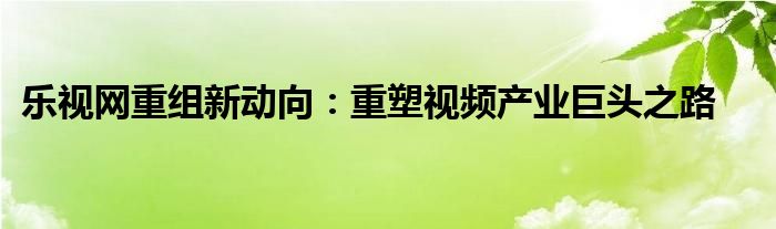 乐视网重组新动向：重塑视频产业巨头之路