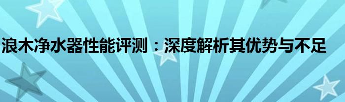 浪木净水器性能评测：深度解析其优势与不足