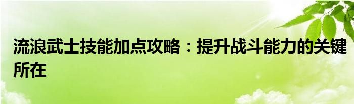 流浪武士技能加点攻略：提升战斗能力的关键所在