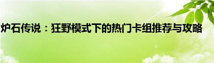 炉石传说：狂野模式下的热门卡组推荐与攻略