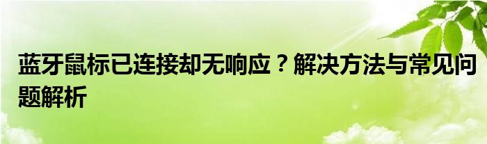 蓝牙鼠标已连接却无响应？解决方法与常见问题解析