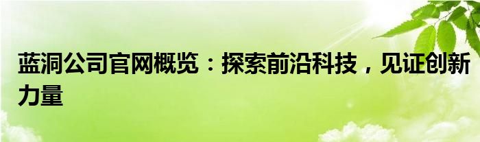 蓝洞公司官网概览：探索前沿科技，见证创新力量