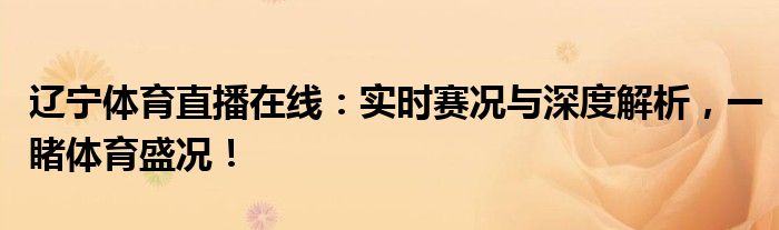 辽宁体育直播在线：实时赛况与深度解析，一睹体育盛况！