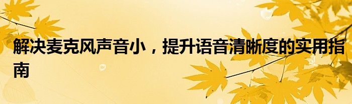 解决麦克风声音小，提升语音清晰度的实用指南