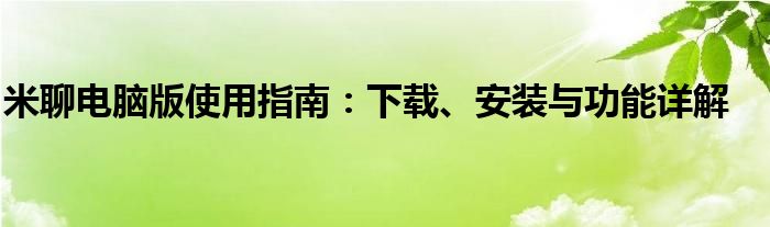 米聊电脑版使用指南：下载、安装与功能详解