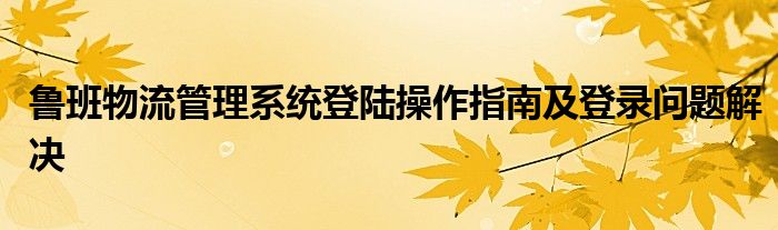 鲁班物流管理系统登陆操作指南及登录问题解决