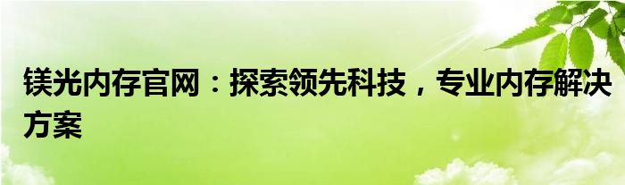 镁光内存官网：探索领先科技，专业内存解决方案