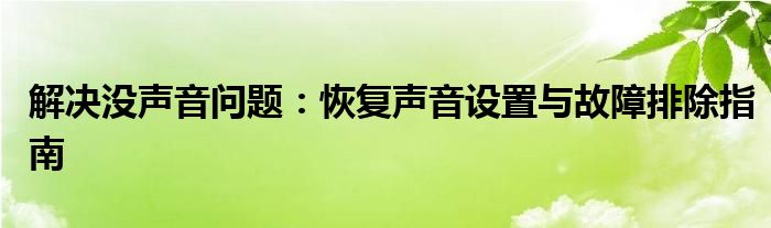 解决没声音问题：恢复声音设置与故障排除指南