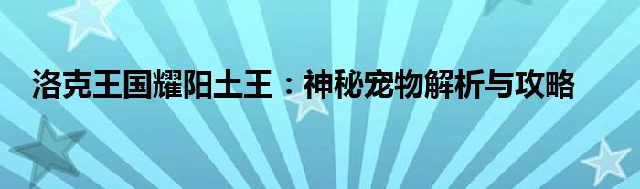 洛克王国耀阳土王：神秘宠物解析与攻略