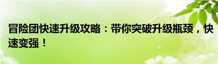 冒险团快速升级攻略：带你突破升级瓶颈，快速变强！