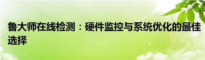 鲁大师在线检测：硬件监控与系统优化的最佳选择