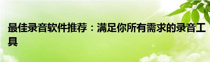 最佳录音软件推荐：满足你所有需求的录音工具