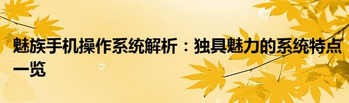 魅族手机操作系统解析：独具魅力的系统特点一览