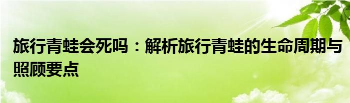 旅行青蛙会死吗：解析旅行青蛙的生命周期与照顾要点