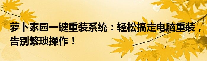 萝卜家园一键重装系统：轻松搞定电脑重装，告别繁琐操作！