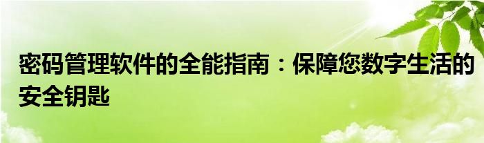 密码管理软件的全能指南：保障您数字生活的安全钥匙