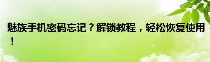 魅族手机密码忘记？解锁教程，轻松恢复使用！