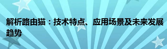 解析路由猫：技术特点、应用场景及未来发展趋势