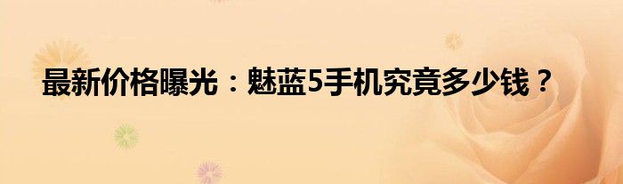 最新价格曝光：魅蓝5手机究竟多少钱？