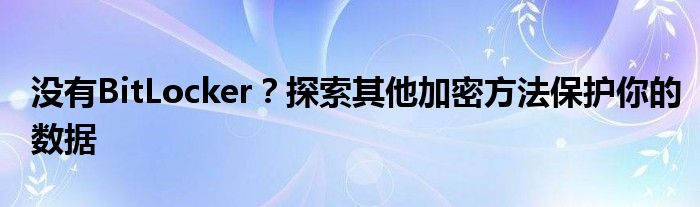 没有BitLocker？探索其他加密方法保护你的数据