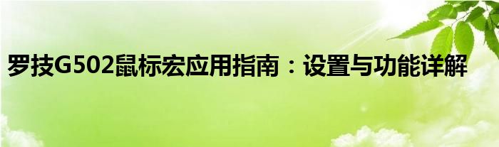 罗技G502鼠标宏应用指南：设置与功能详解