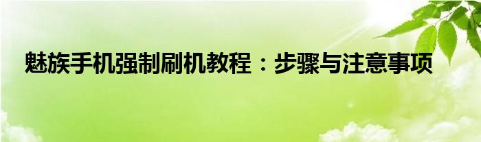 魅族手机强制刷机教程：步骤与注意事项