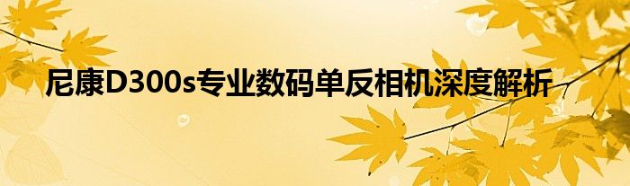 尼康D300s专业数码单反相机深度解析